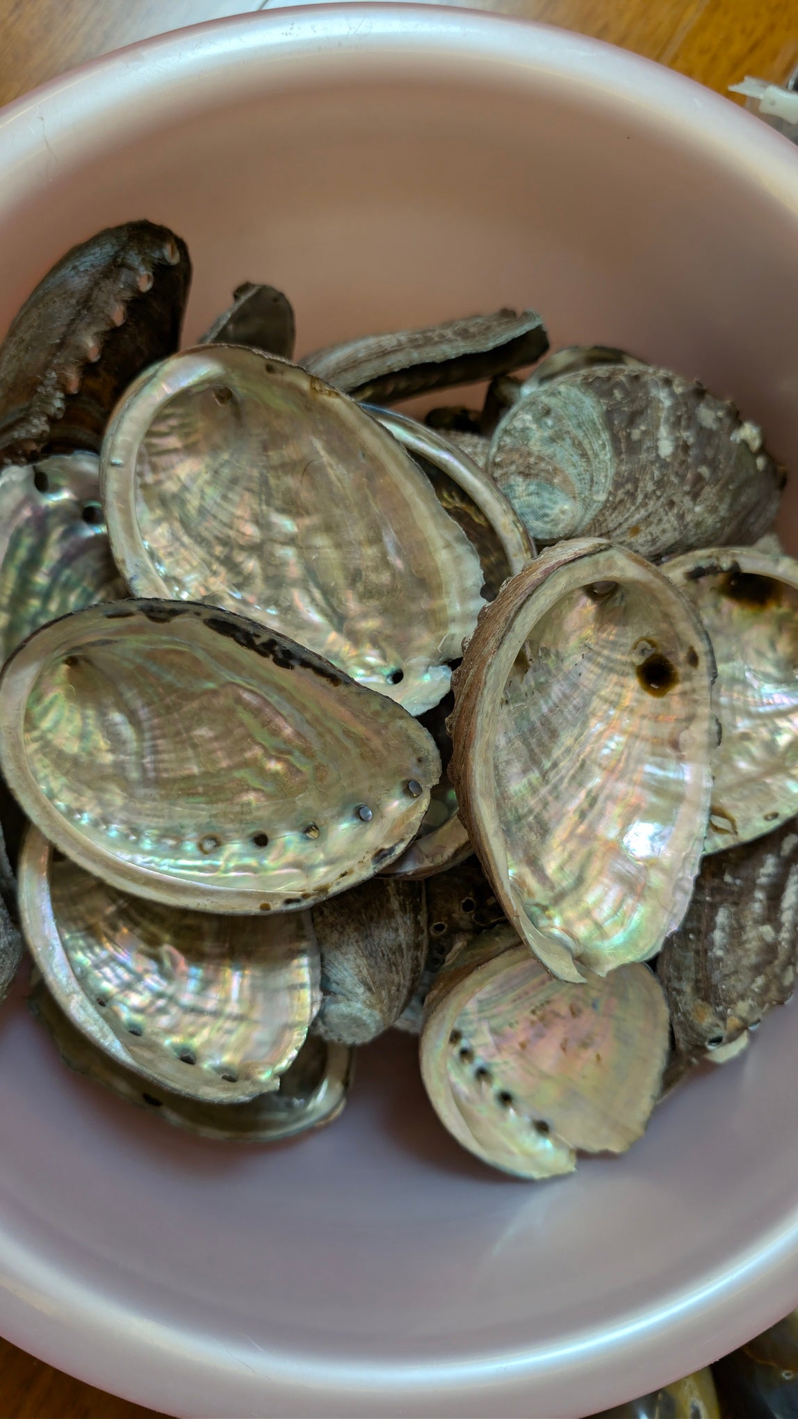 鲍鱼壳能量充能床